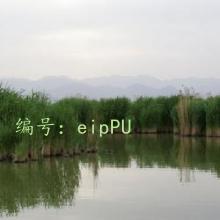 û