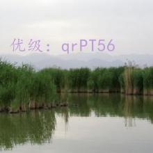 û