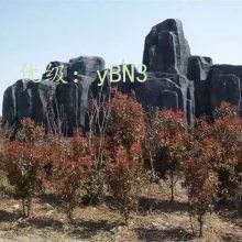 ָ