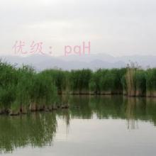 û