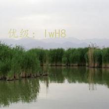 û