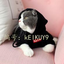 ʽ
