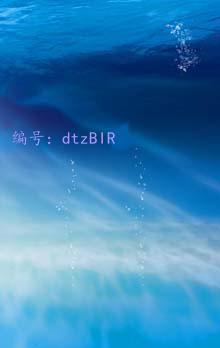 ΢