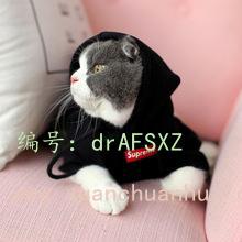 û