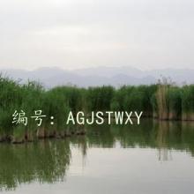 ֦Ҷï
