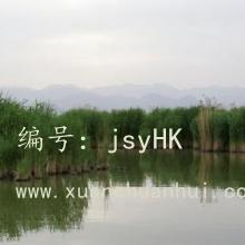 λ