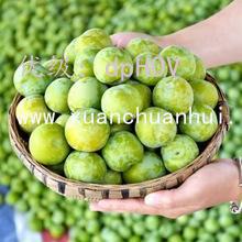Ա